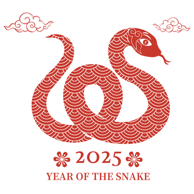 Year of the Snake 2025  ~ Long Sleeve Tee